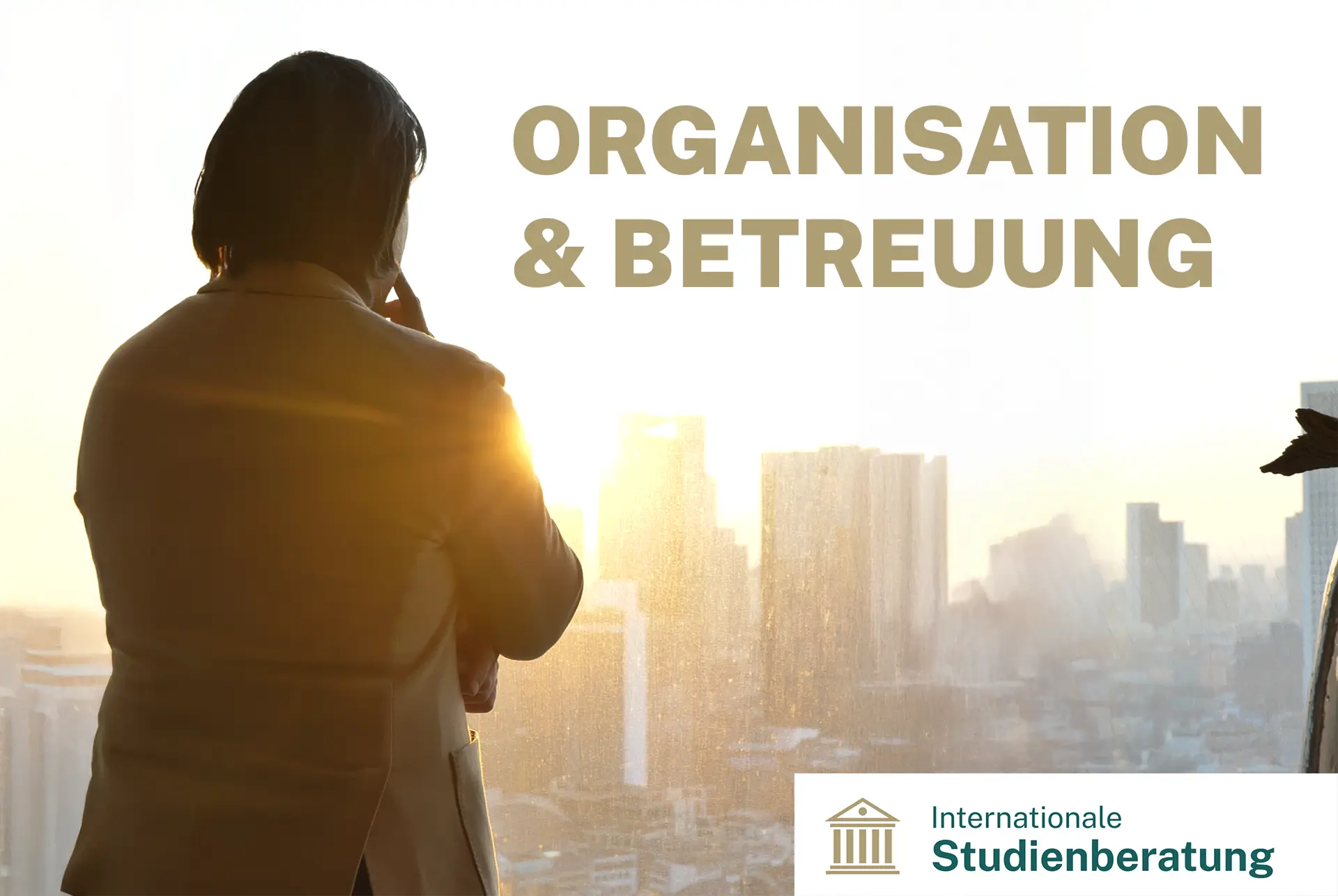 Organisation und Betreuung bei der Promotion